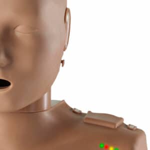 HLW-Torso mit Leuchtanzeige – Bild 2