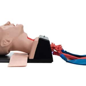 AirSim Combo Bronchi X